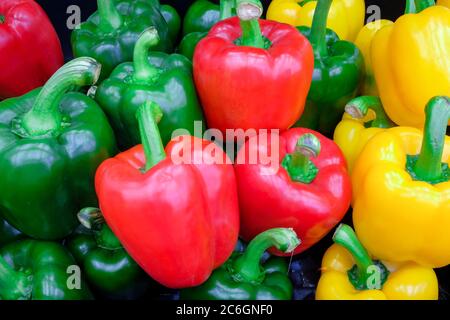 Nahaufnahme frischer grüner und gelber Paprika (Paprika oder Paprika) Stockfoto