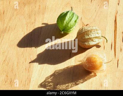 Drei Stufen der essbaren Frucht der Kapgansbeere (Physalis peruviana) Stockfoto