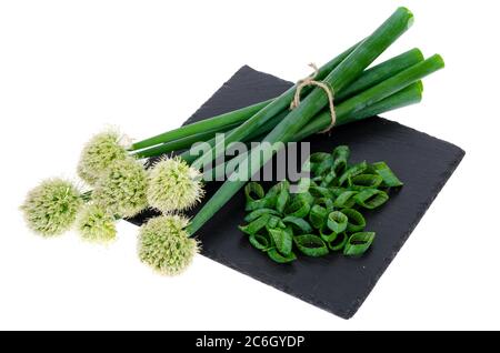 Schöne blühende Zwiebelköpfe isoliert auf weißem Hintergrund Stockfoto