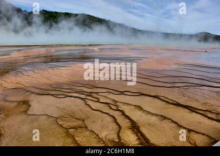 Bunte Bands thermophiler Bakterien im Yellowstone National Park Stockfoto