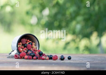 Mischung von frischen Beeren auf rustikalen Holztisch vor dem Hintergrund der Natur des Gartens mit Copyspace Stockfoto