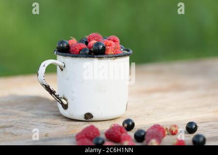Verschiedene Beeren in Becher auf Holz Hintergrund. Frische Bio-Beeren ernten von der Beerenfarm Stockfoto