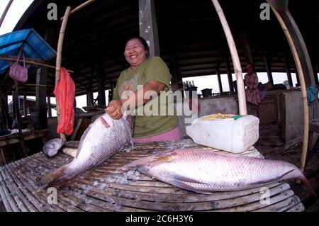 Frau, die Fische reinigt und entkalkt, Markt, Kalabahi, Alor, Indonesien Stockfoto