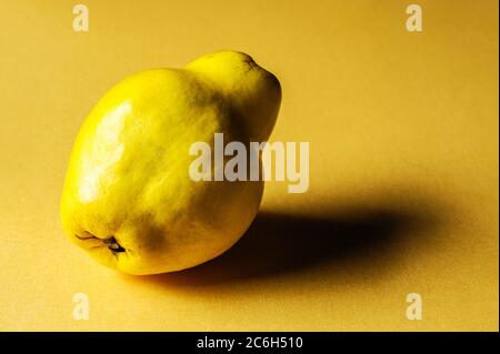 Quitte Auf Gelbem Hintergrund Stockfoto