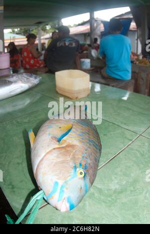 Papageienfisch auf dem Tisch, Fischmarkt, Bandaneira, in der Nähe von Ambon, Banda Sea, Indonesien Stockfoto