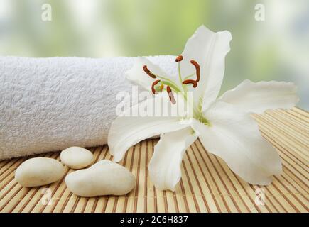 Wellness Stillleben Kieselsteine und weiße madonna Lilie, Spa, Massage-Konzept Stockfoto