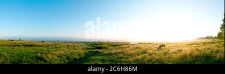 Wunderbares Panorama auf die Berge. Pferde auf einer Bergwiese. Sommer-Panorama-Landschaft in den Bergen. Ukraine, Karpaten. Schöne Natur V Stockfoto