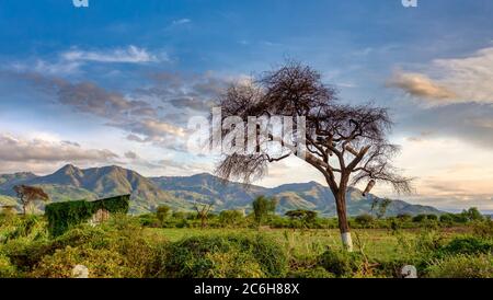 Afrikanische Landschaft bei Arba Minch. Äthiopien Region der südlichen Nationen, Afrika Wildnis des Omo-Tals Stockfoto