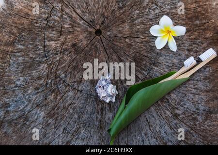 Zwei weiße und gelbe umweltfreundliche Bambus-Zahnbürsten aus Holz auf Holzgrund mit weißen gelben Blume Plumeria und Schale in grünem Blatt Stockfoto