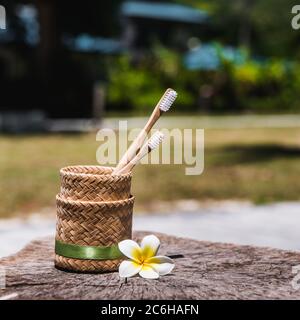 Zwei weiße und gelbe umweltfreundliche Bambus-Zahnbürsten aus Holz in Holderon auf Holzgrund mit weißen gelben Blume Plumeria. Stockfoto
