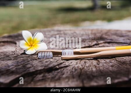 Zwei weiße und gelbe umweltfreundliche Bambus-Zahnbürsten aus Holz auf Holzgrund mit weißen gelben Blume Plumeria. Stockfoto