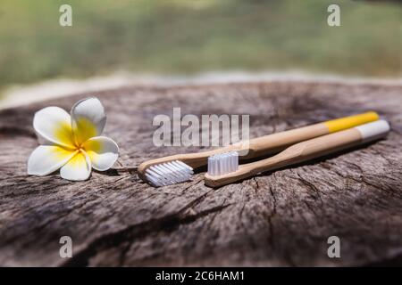 Zwei weiße und gelbe umweltfreundliche Bambus-Zahnbürsten aus Holz auf Holzgrund mit weißen gelben Blume Plumeria. Stockfoto