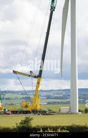 Larkhall, Schottland, Großbritannien. Juli 2020. Im Bild: Eine riesige Windkraftanlage steht ein paar hundert Meter hoch mit einem massiven Industriekran mit einem Verlängerungskräne am Ende, um zusätzliche Höhe Stände neben der Turbine halten die Blattstruktur an Ort und Stelle zu geben. Grüne Energie ist ein großes Geschäft, und wenn Großbritannien seine Ziele für erneuerbare Energien archivieren soll, müssen mehr Windenergieanlagen an Land und auf See gebaut werden. Quelle: Colin Fisher/Alamy Live News Stockfoto