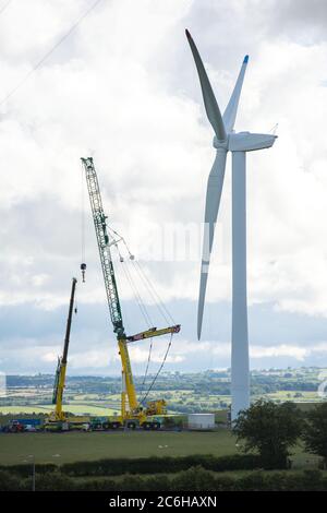 Larkhall, Schottland, Großbritannien. Juli 2020. Im Bild: Eine riesige Windkraftanlage steht ein paar hundert Meter hoch mit einem massiven Industriekran mit einem Verlängerungskräne am Ende, um zusätzliche Höhe Stände neben der Turbine halten die Blattstruktur an Ort und Stelle zu geben. Grüne Energie ist ein großes Geschäft, und wenn Großbritannien seine Ziele für erneuerbare Energien archivieren soll, müssen mehr Windenergieanlagen an Land und auf See gebaut werden. Quelle: Colin Fisher/Alamy Live News Stockfoto