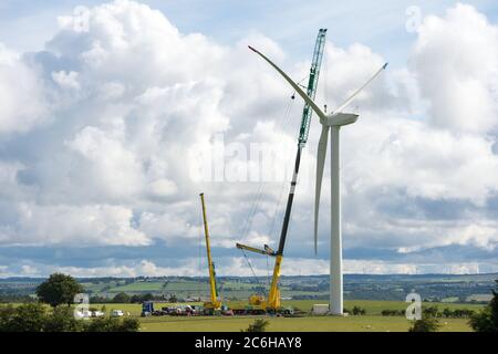 Larkhall, Schottland, Großbritannien. Juli 2020. Im Bild: Eine riesige Windkraftanlage steht ein paar hundert Meter hoch mit einem massiven Industriekran mit einem Verlängerungskräne am Ende, um zusätzliche Höhe Stände neben der Turbine halten die Blattstruktur an Ort und Stelle zu geben. Grüne Energie ist ein großes Geschäft, und wenn Großbritannien seine Ziele für erneuerbare Energien archivieren soll, müssen mehr Windenergieanlagen an Land und auf See gebaut werden. Quelle: Colin Fisher/Alamy Live News Stockfoto