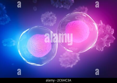 Körperzellen unter dem Mikroskop. Eine gute Illustration als Darstellung der Forschung an Stammzellen, Zelltherapie und Regeneration und viele andere con Stockfoto