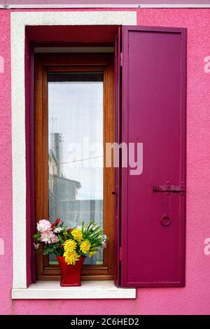 Offenes Fenster mit Metallverschluss und blühenden Blumen in Töpfen. Burano bunte Insel. Venive Stockfoto