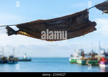 Eine lokale Delikatesse, Bokkoms (getrockneter Fisch) hängen und bereit, in Kalk Bay Harbor, Kapstadt, Südafrika zu verkaufen Stockfoto