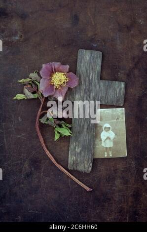 Verwittertes Holzkreuz auf angetünchten Metall mit verblassten Lentonrose oder Helleborus orientalis und Foto von 1920er Jahren Kind im Park stehend Stockfoto