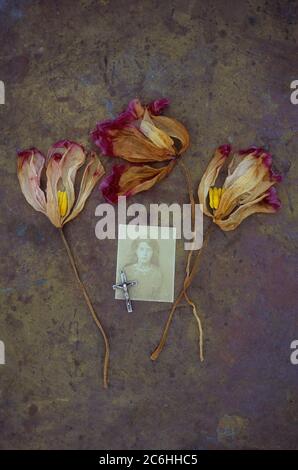 Drei getrocknete rote und gelbe Tulpen liegen auf anliegendem Messing mit kleinem Kruzifix und Sepia-Foto des jungen woan der 1920er Jahre Stockfoto