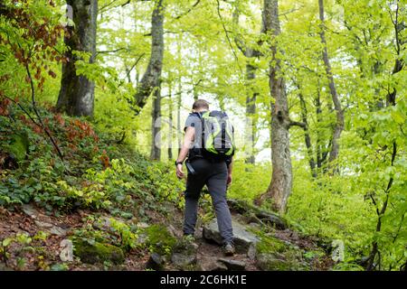 Klettern Berge durch den Wald. Ein Kerl mit einem Rucksack geht auf einem felsigen Weg zwischen hohen Bäumen Stockfoto