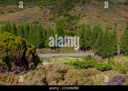 Hügel über Feldern. Terceira Insel auf den Azoren mit blauem Himmel und Wolken. Stockfoto