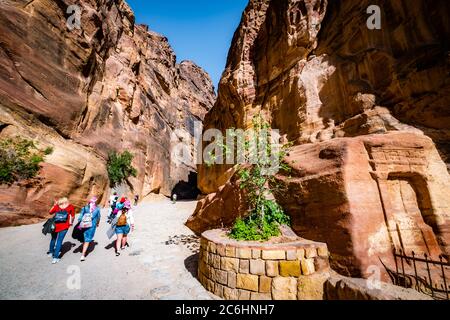 Frische grüne Landschaft auf der geschnitzten Klippe aus Sandsteinfelsen in Petra, Jordanien Stockfoto