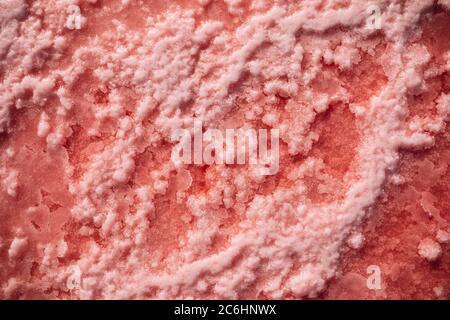 Salzkristalle befinden sich auf dem rosa salzigen Genitschesk-See in der Ukraine. Nahaufnahme. Stockfoto