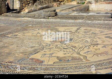 Marokko, UNESCO-Weltkulturerbe der alten römischen Siedlung Volubilis aka Walili - Mosaik in Orpheus Home Stockfoto