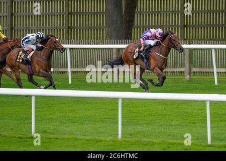 George Wood reitend Han Solo Berger (pink) gewinnt das Each Way Extra bei bet365 Handicap am zweiten Tag des Moet and Chandon July Festivals auf der Newmarket Racecourse. Stockfoto