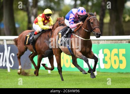 Han Solo Berger und George Wood gewinnen die Each Way Extra bei bet365 Handicap Stakes am zweiten Tag des Moet and Chandon July Festivals auf der Newmarket Racecourse. Stockfoto