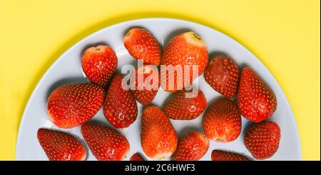 Erdbeeren in einem blauen Teller auf gelbem Hintergrund. Nahaufnahme von frischen Erdbeeren. Eine Draufsicht auf ein flaches Layout. Stockfoto