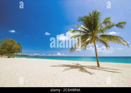 Tropischer Paradiesstrand mit weißem Sand und Kokopalmen Reise Tourismus Weitwinkel Hintergrund Konzept. Stockfoto