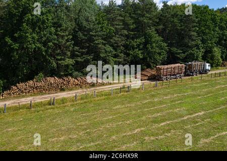 Abholzung und Holzeinschlag Draufsicht. LKW nehmen die Protokolle weg. Forstwirtschaft. Stockfoto