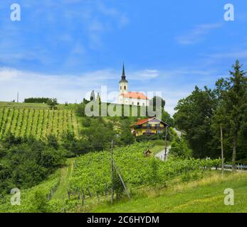 Sveti Urban, Nähe Maribor, Slowenien, Europa - Hügel mit Weinberg und kleine christliche Kirche auf der Spitze. Schöne slowenische ländliche Landschaft Dur Stockfoto