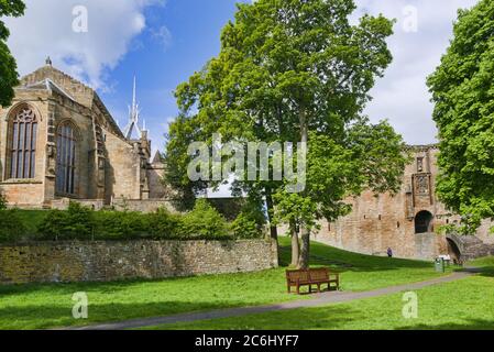 Heller, sonniger Tag am Linlithgow loch, Peel. Blick nach Westen zum Palast und St. Michaels alte und historische Kirche. Überhängender Baum, West Lothian, Centr Stockfoto