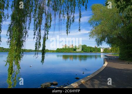 Heller, sonniger Tag am Linlithgow loch, Peel. Blick nach Osten zum Palast. Niedriger Wasserstand. Überhängende Weide, West Lothian, Central Scotland UK. Stockfoto