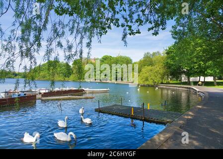 Heller, sonniger Tag am Linlithgow loch, Peel. Boote. Schwäne. Blick auf den Palast. West Lothian, Central Scotland, Großbritannien. Stockfoto