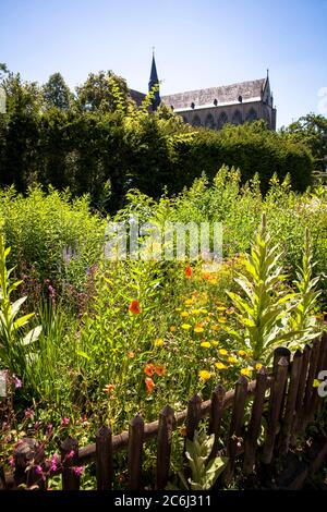 Bauernhof und Kräutergarten am Altenberger Dom in Odenthal, Bergisches Land, Nordrhein-Westfalen, Deutschland. Bau- und Krautergarten am Stockfoto