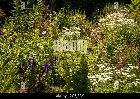 Bauernhof und Kräutergarten am Altenberger Dom in Odenthal, Bergisches Land, Nordrhein-Westfalen, Deutschland. Bau- und Krautergarten am Stockfoto