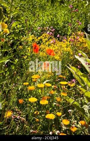 Bauernhof und Kräutergarten am Altenberger Dom in Odenthal, Bergisches Land, Nordrhein-Westfalen, Deutschland. Bau- und Krautergarten am Stockfoto