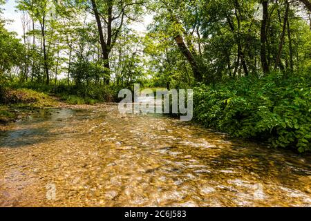 Italien Venetien Fontigo - Natur Oasi Fontane Bianche Stockfoto