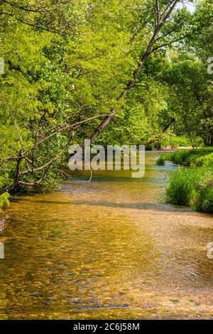 Italien Venetien Fontigo - Natur Oasi Fontane Bianche Stockfoto