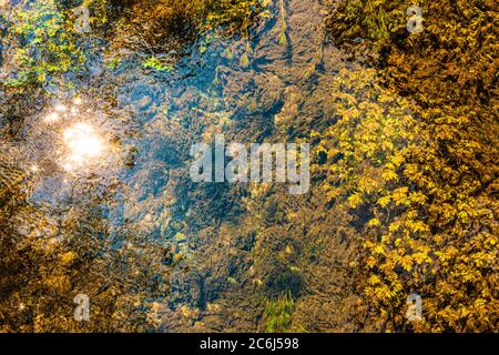 Italien Venetien Fontigo - Natur Oasi Fontane Bianche Stockfoto