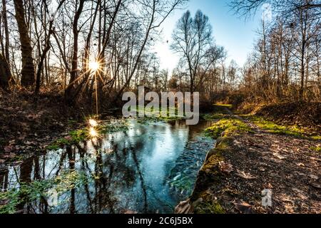 Italien Venetien Fontigo - Natur Oasi Fontane Bianche Stockfoto