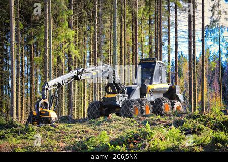 Ponsse Ergo Waldernter auf Holzfällergelände im herbstlichen Nadelwald. Vihti, Finnland. Oktober 2016. Stockfoto