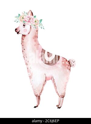 Niedliche Aquarell Lama, Alpaka Illustration isoliert auf weiß. Llama Print ethnischen Decke, Blumen Kranz, Blumenstrauß und Boho mexikanischen Dekoration Stockfoto