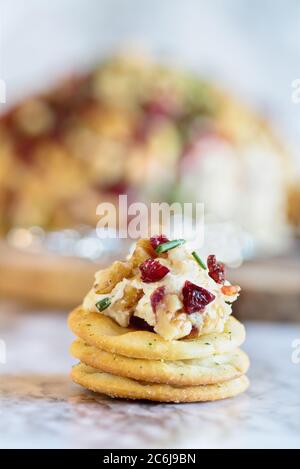 Frischer hausgemachter Cranberry-Käseaufstrich mit Frischkäse, weißem Cheddar, getrockneten Cranberries, Walnüssen und Schnittlauch auf Marmortisch. Selektiver Fokus Stockfoto