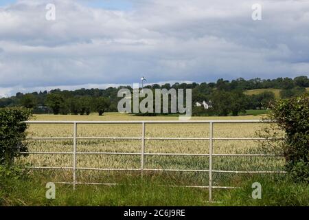 Broomhedge, County Antrim, Nordirland. 10. Juli 2020. Wetter in Großbritannien – milde, aber häufige Regenschauer und Sonnenschein aufgrund einer nordwestlichen Brise. Kredit: CAZIMB/Alamy Live Nachrichten. Stockfoto