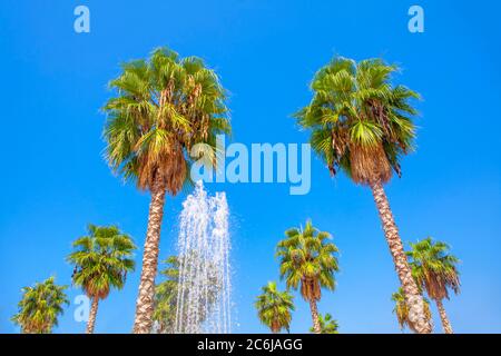 Brunnen und tropische Palmen gegen blauen Himmel Stockfoto